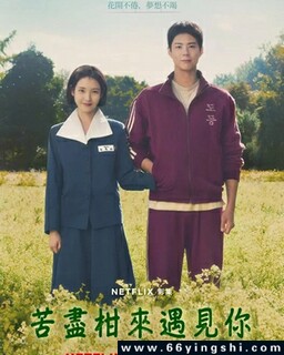 苦尽柑来遇见你[全集]