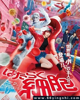 工作细胞 真人版[日语]