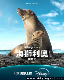 海狮利奥环岛记