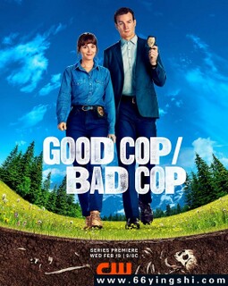 好警察/坏警察[全集]
