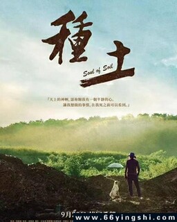 种土