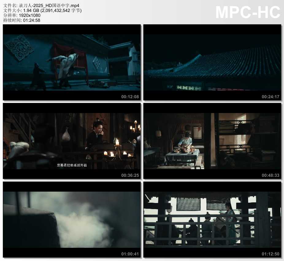 2025年国产动作古装片《录刀人》HD国语中字