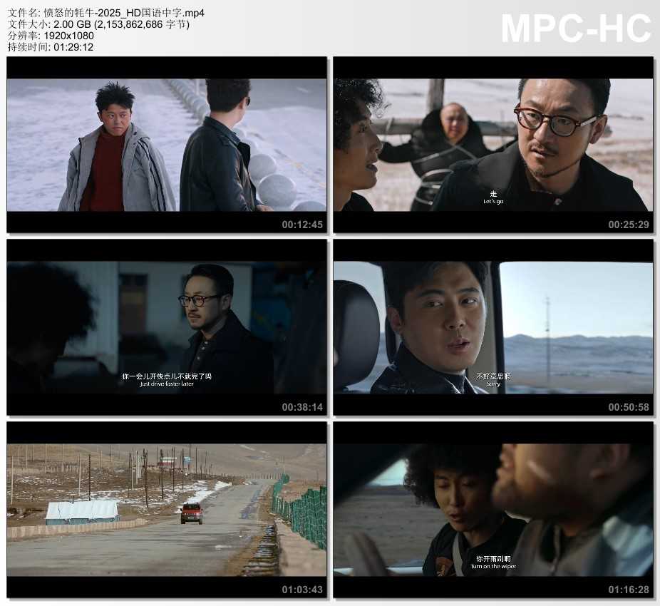 2025年国产喜剧片《愤怒的牦牛》HD国语中字