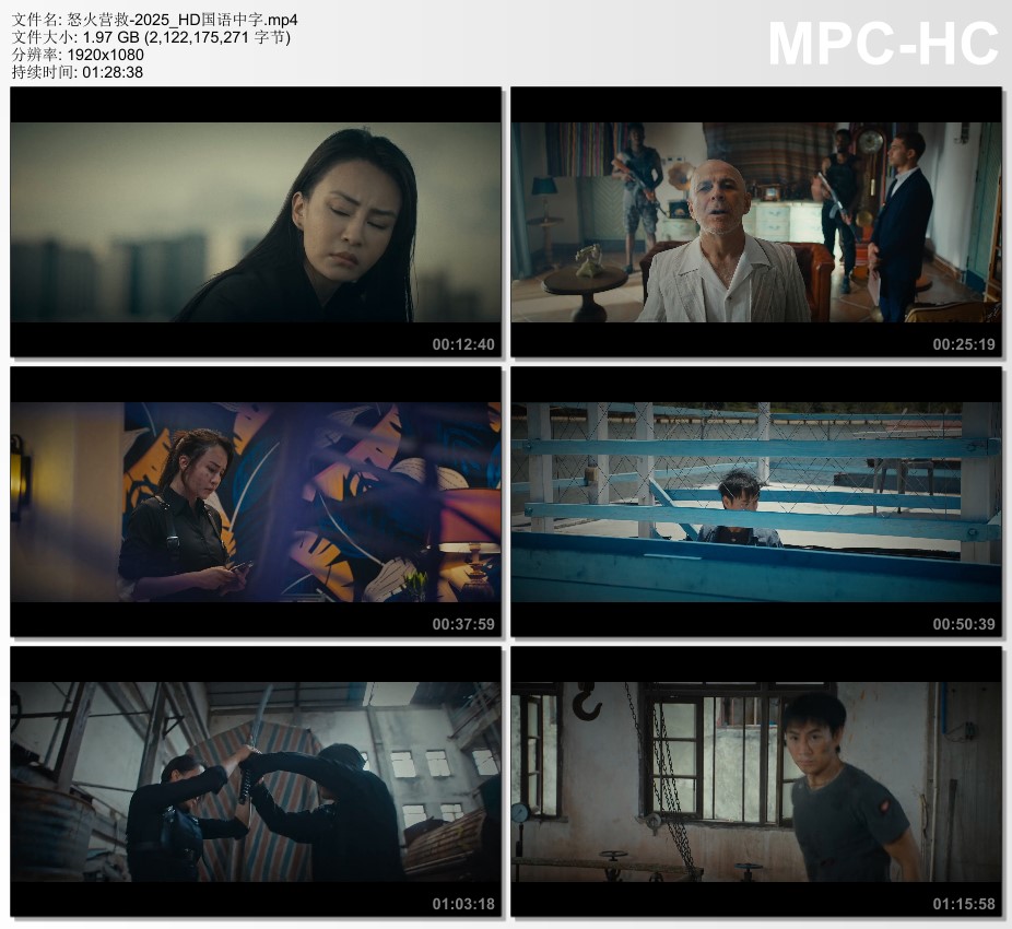 2025年国产动作片《怒火营救》HD国语中字