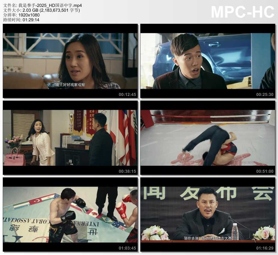 2025年国产动作片《我是拳手2025》HD国语中字