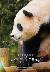 2024韩国7.4分纪录片《再见，福宝》HD1080p.中文字幕