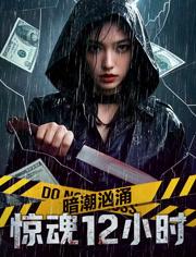 2025国产悬疑犯罪动作《暗潮汹涌之惊魂12小时》HD1080p.国语中字