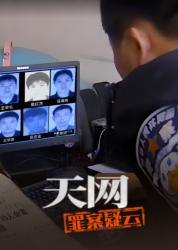 2025国产犯罪纪录片《天网：罪案疑云》全10集