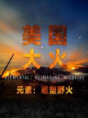 2022美国纪录片《美国大火》HD1080p.中文字幕