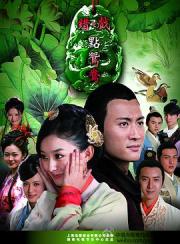 2012高分国产剧《错点鸳鸯戏点鸳鸯》全50集
