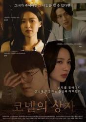 2024韩国惊悚悬疑剧情《康奈尔之盒》HD1080p.中文字幕