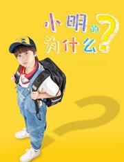 2025国产少儿剧情《小明的为什么》HD1080p.国语中字