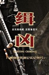 2025国产犯罪纪录片《缉凶》全4集