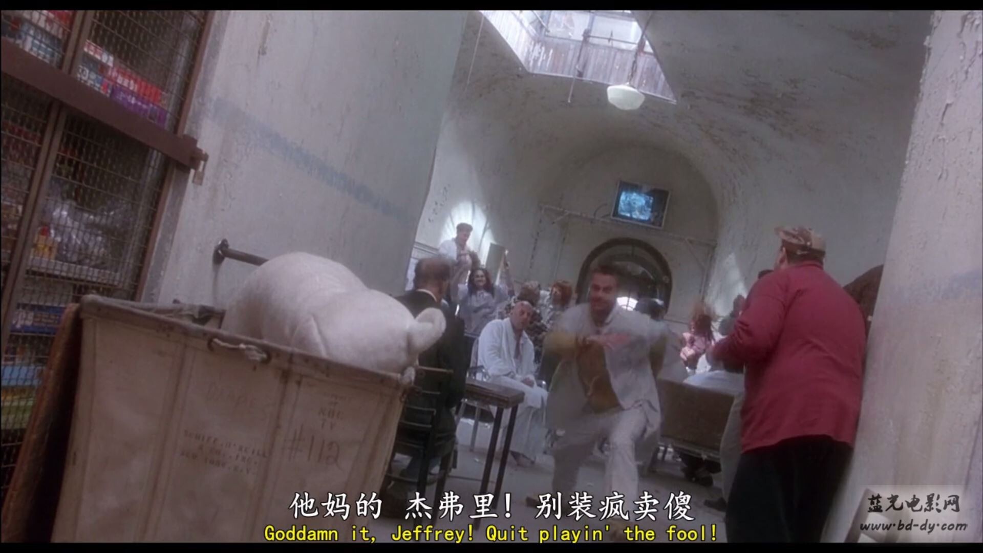 十二只猴子剧照