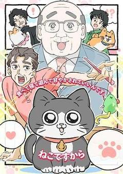 转生成猫的大叔[日语]