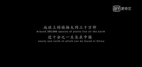 影响世界的中国植物剧照