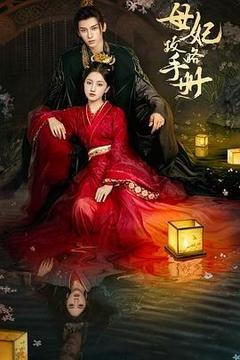 母妃攻略手册[汉语普通话]