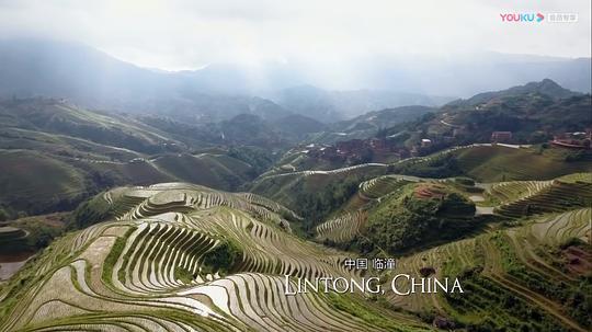 古墓入侵者剧照